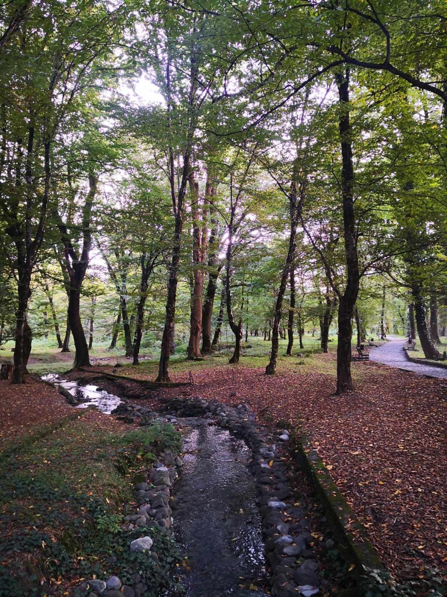 Kote.Ge Hotel Lagodekhi Kültér fotó